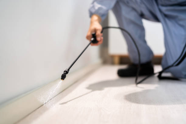 Licensed Fumigation Services service in Bienville Parish County, LA - Nex Pest Control